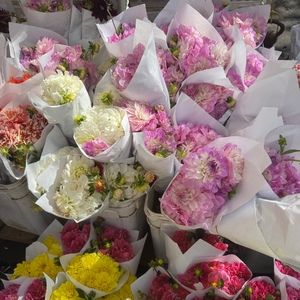 Meet your Posher, Paige